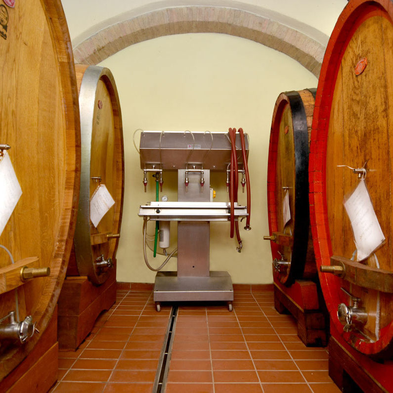 Azienda Agricola Tiberi Mireno — foto 4
